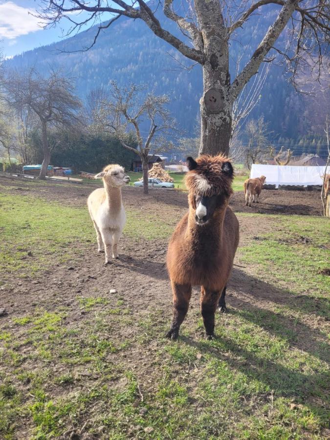 Ferienwohnung Biohof Untermar Obervellach Buitenkant foto