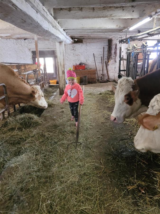 Ferienwohnung Biohof Untermar Obervellach Buitenkant foto