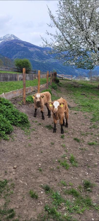 Ferienwohnung Biohof Untermar Obervellach Buitenkant foto